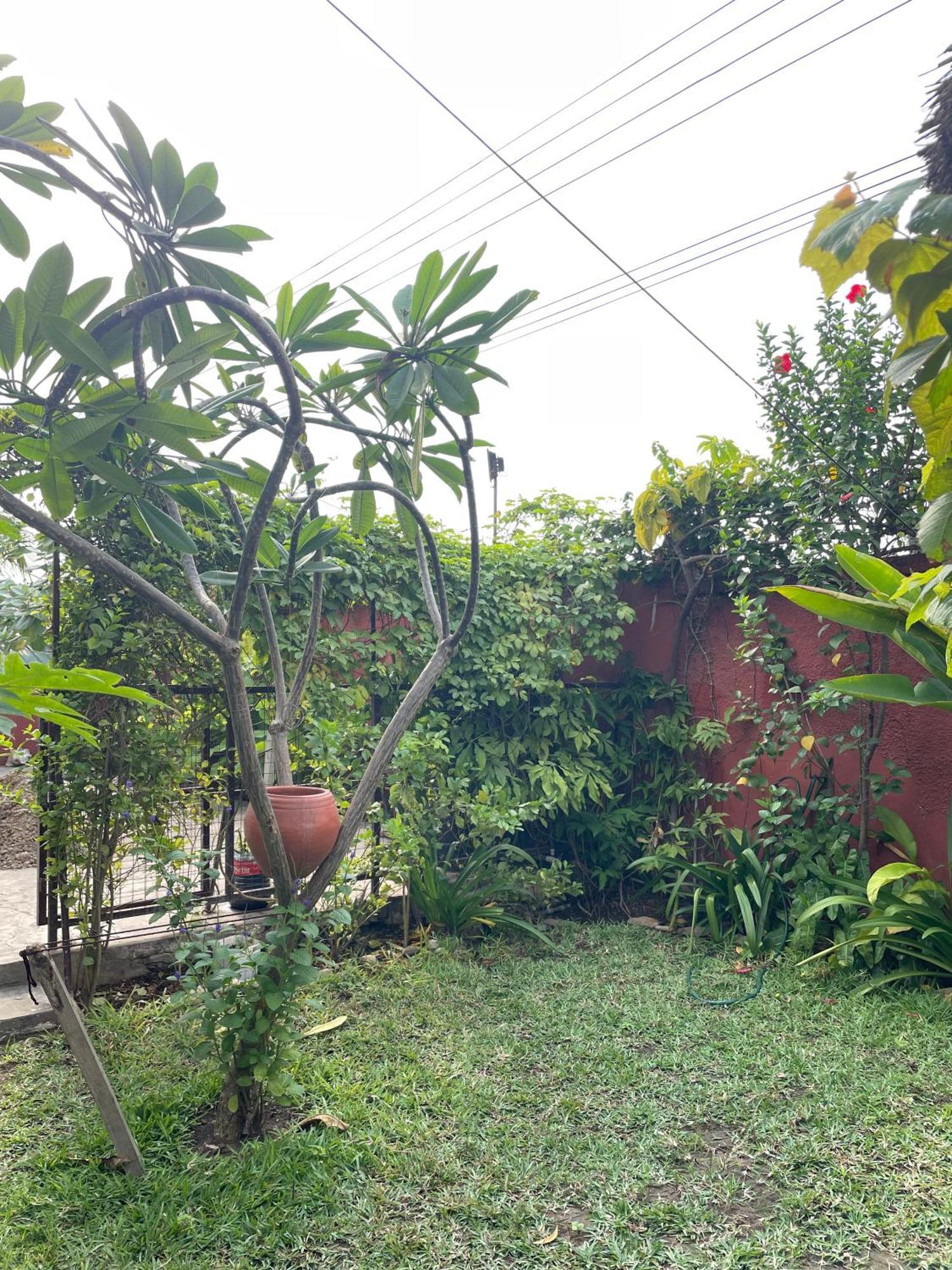 Hechtech House Apartman Accra Kültér fotó