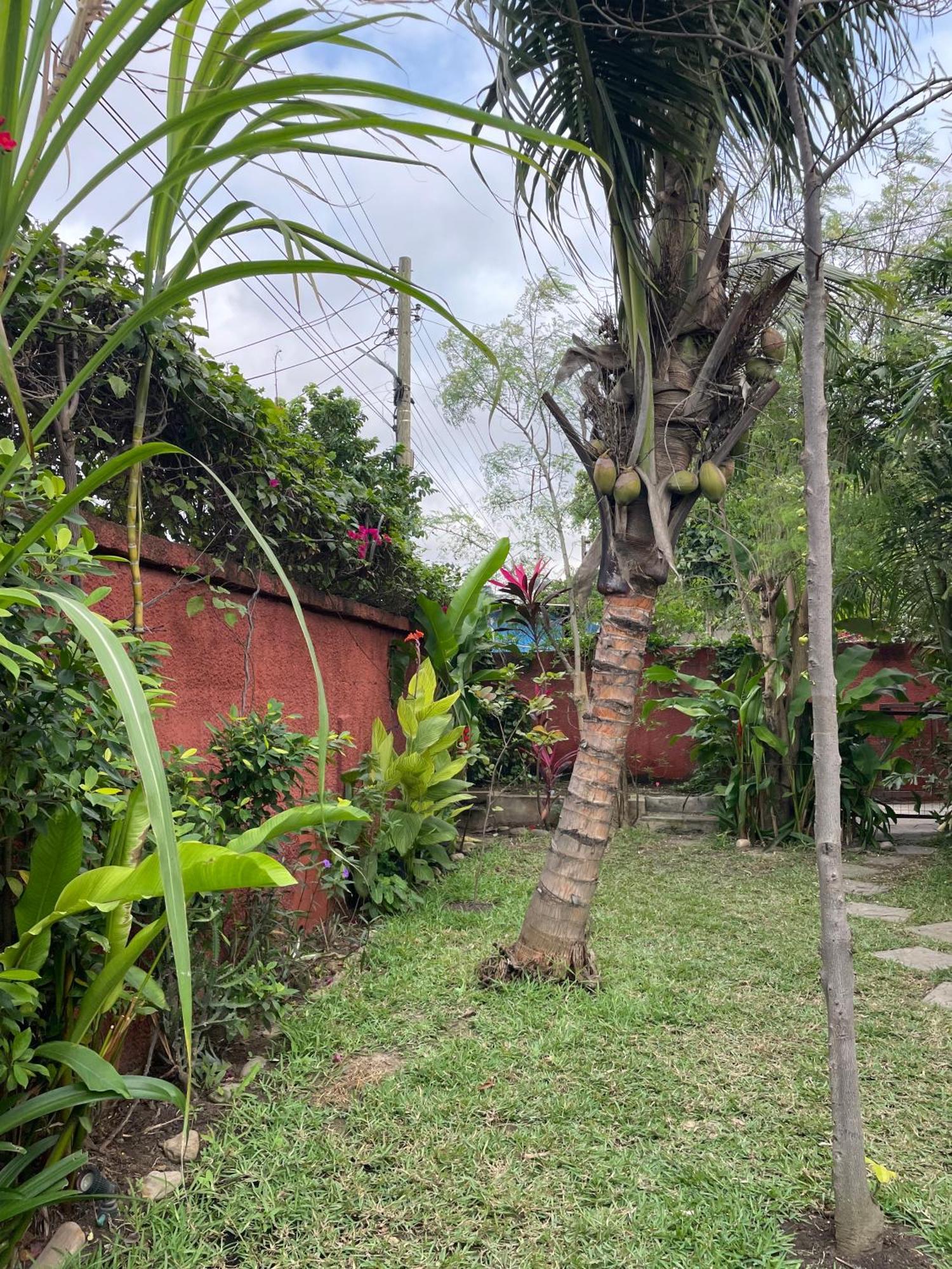 Hechtech House Apartman Accra Kültér fotó